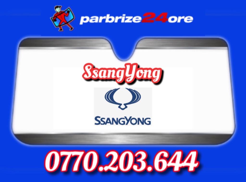 coltare ssangyong